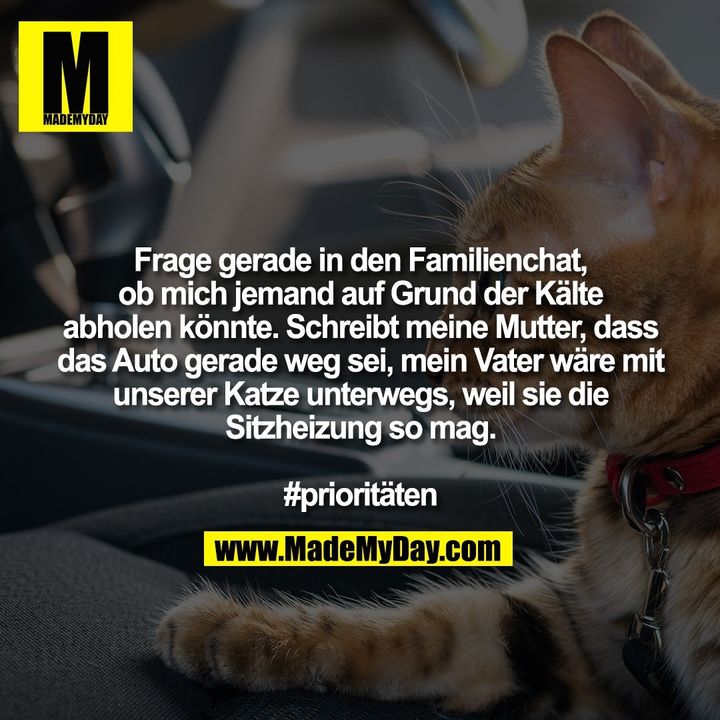 Frage gerade in den Familienchat, ob mich jemand auf Grund der Kälte abholen könnte. Schreibt meine Mutter, dass das Auto gerade weg sei, mein Vater wäre mit unserer Katze unterwegs, weil sie die Sitzheizung so mag. #prioritäten