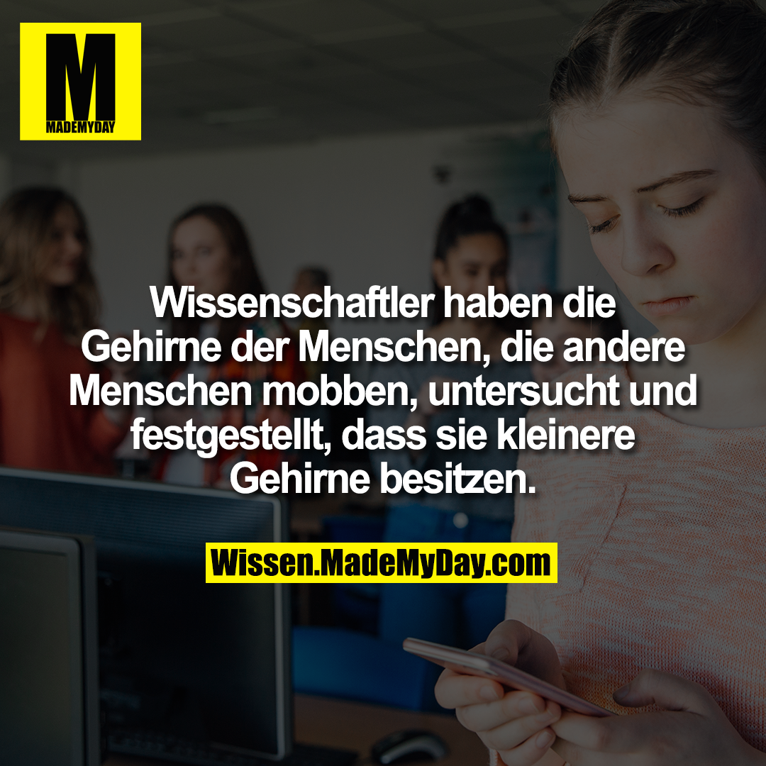 Wissenschaftler haben die Gehirne der Menschen, die andere Menschen mobben, untersucht und festgestellt, dass sie kleinere Gehirne besitzen.