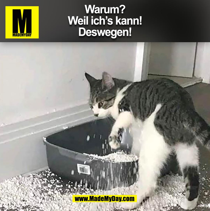 Warum?<br />
Weil ich’s kann!<br />
Deswegen! (BILD)