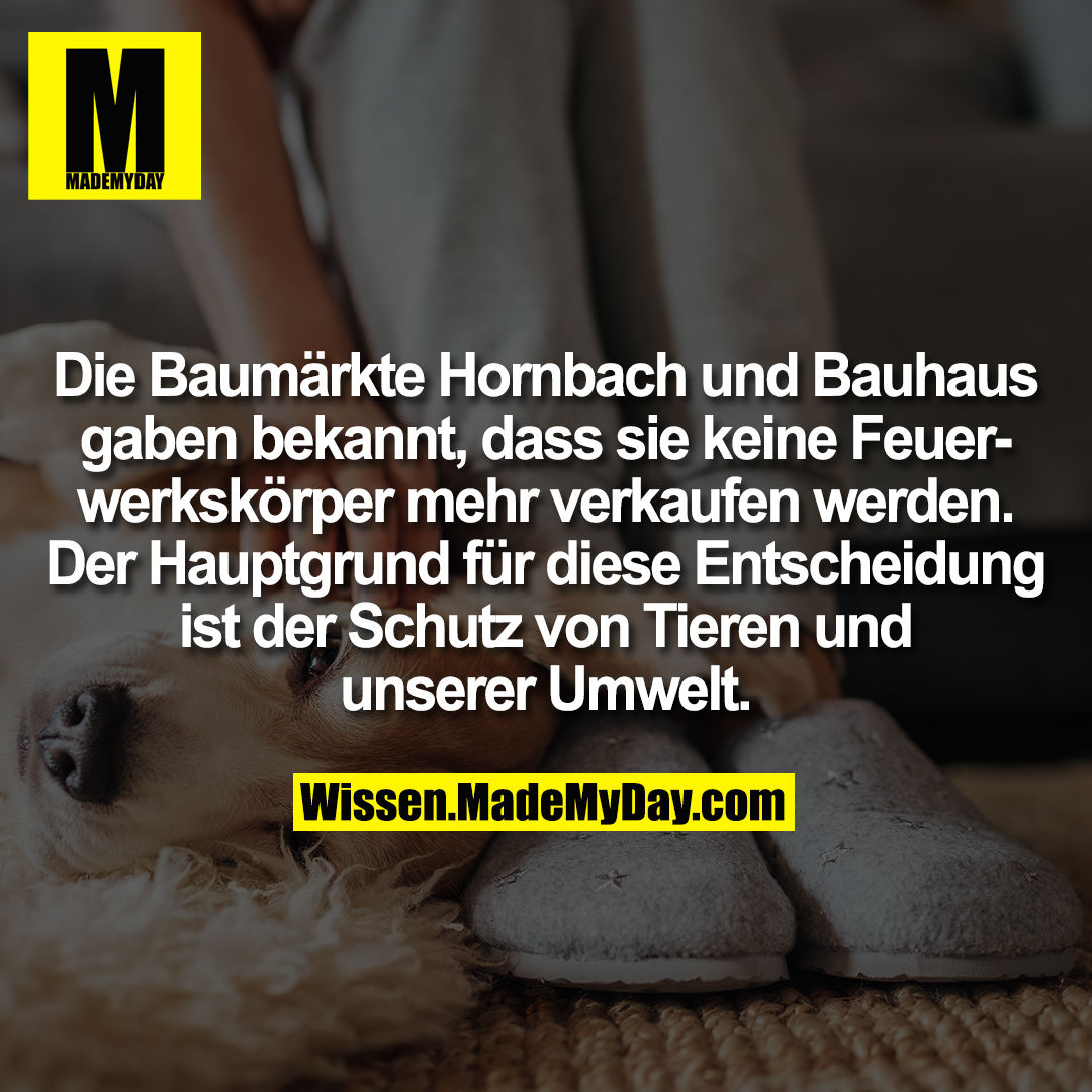 Die Baumärkte Hornbach und Bauhaus gaben bekannt, dass sie keine Feuerwerkskörper mehr verkaufen werden. Der Hauptgrund für diese Entscheidung ist der Schutz von Tieren und unserer Umwelt.
