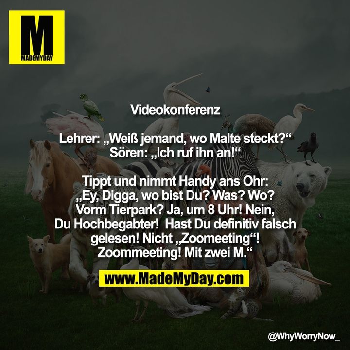 Videokonferenz<br />
<br />
Lehrer: „Weiß jemand, wo Malte steckt?“<br />
Sören: „Ich ruf ihn an!“<br />
<br />
Tippt und nimmt Handy ans Ohr:<br />
„Ey, Digga, wo bist Du? Was? Wo?<br />
Vorm Tierpark? Ja, um 8 Uhr! Nein,<br />
Du Hochbegabter!  Hast Du definitiv falsch<br />
gelesen! Nicht „Zoomeeting“!<br />
Zoommeeting! Mit zwei M.“