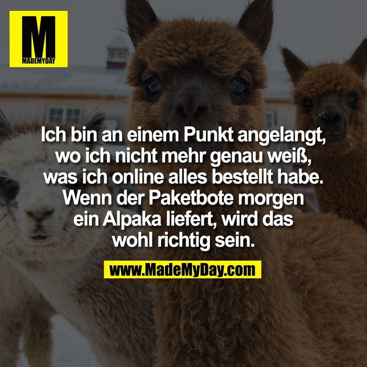 Ich bin an einem Punkt angelangt,<br />
wo ich nicht mehr genau weiß,<br />
was ich online alles bestellt habe.<br />
Wenn der Paketbote morgen<br />
ein Alpaka liefert, wird das<br />
wohl richtig sein.