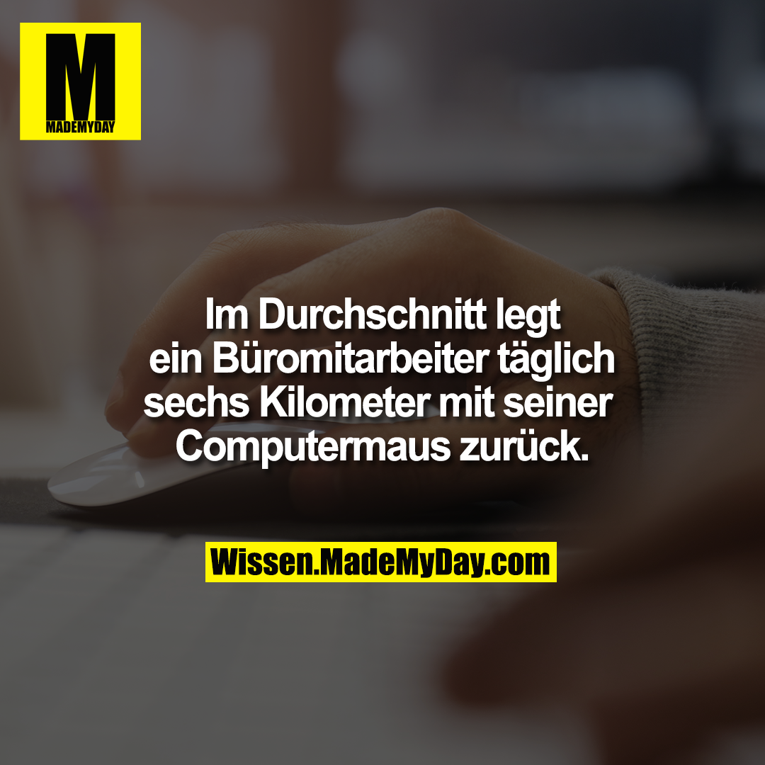 Im Durchschnitt legt ein Büromitarbeiter täglich sechs Kilometer mit seiner Computermaus zurück.