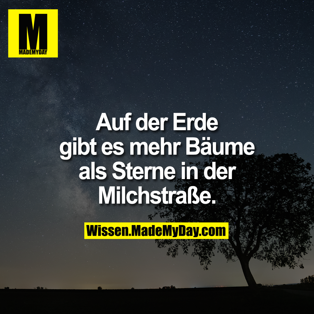 Auf der Erde gibt es mehr Bäume als Sterne in der Milchstraße.