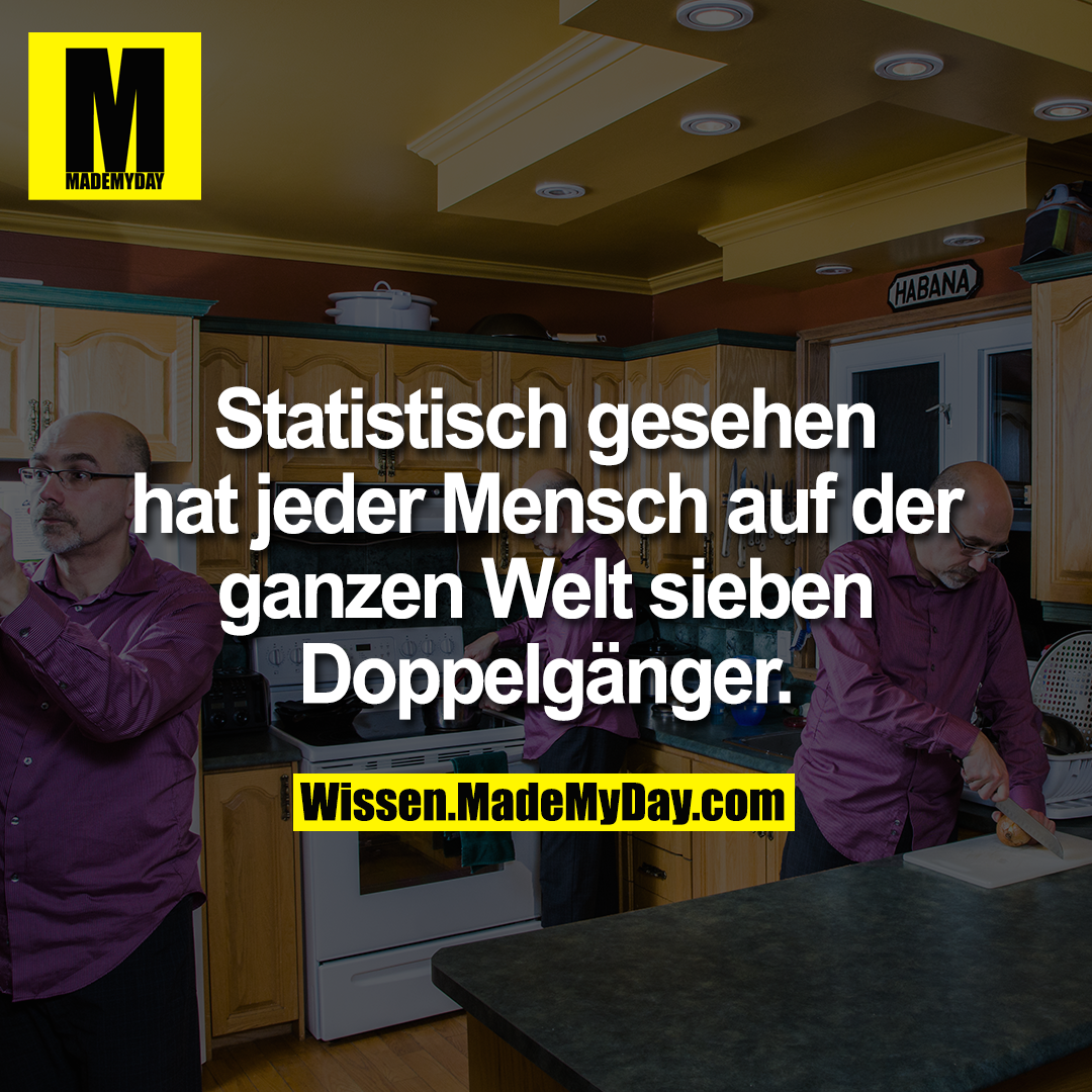 Statistisch gesehen hat jeder Mensch auf der ganzen Welt sieben Doppelgänger.