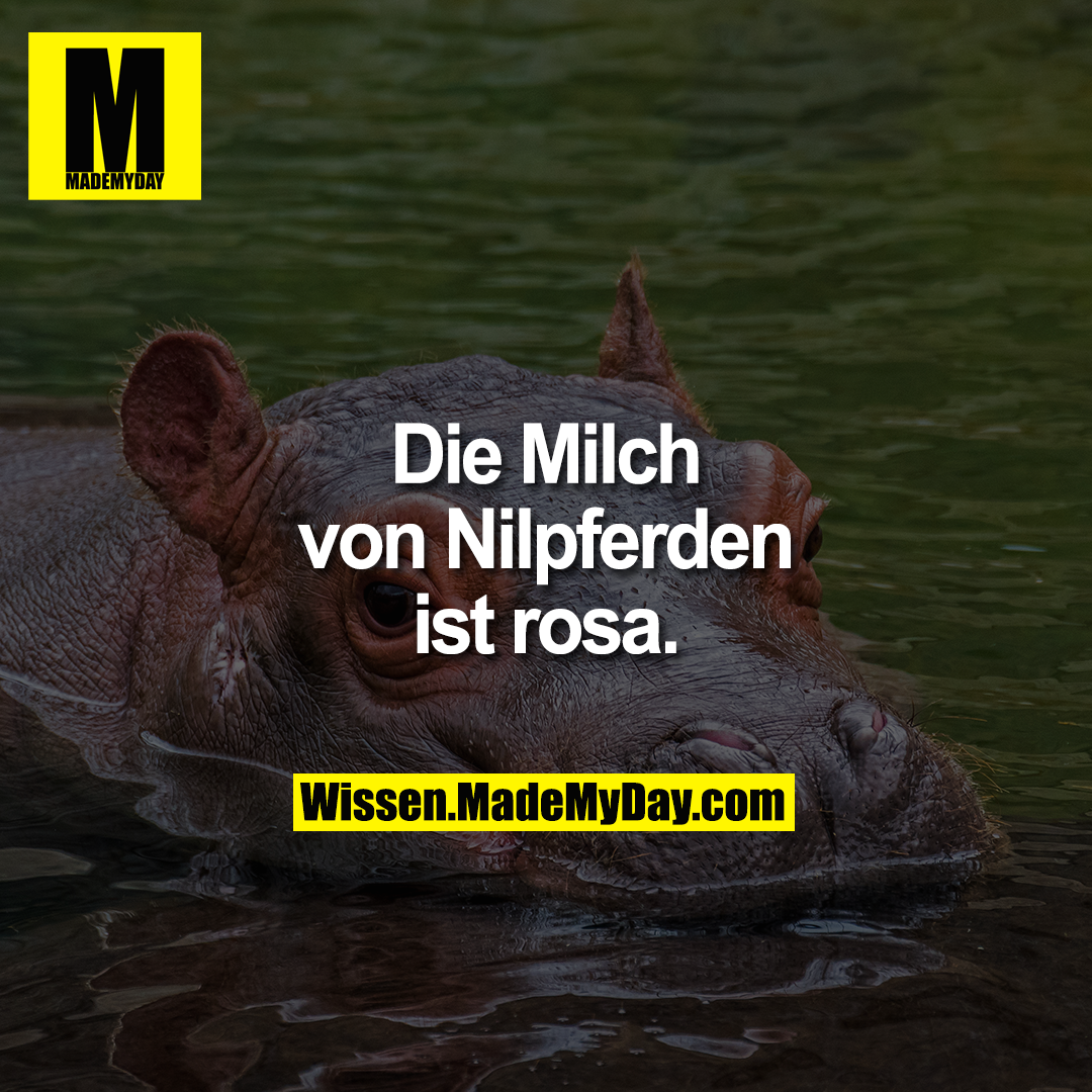 Die Milch von Nilpferden ist rosa.