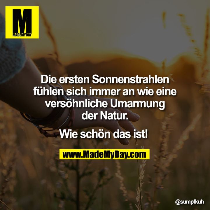 Die ersten Sonnenstrahlen<br />
fühlen sich immer an wie eine<br />
versöhnliche Umarmung<br />
der Natur.<br />
<br />
Wie schön das ist!