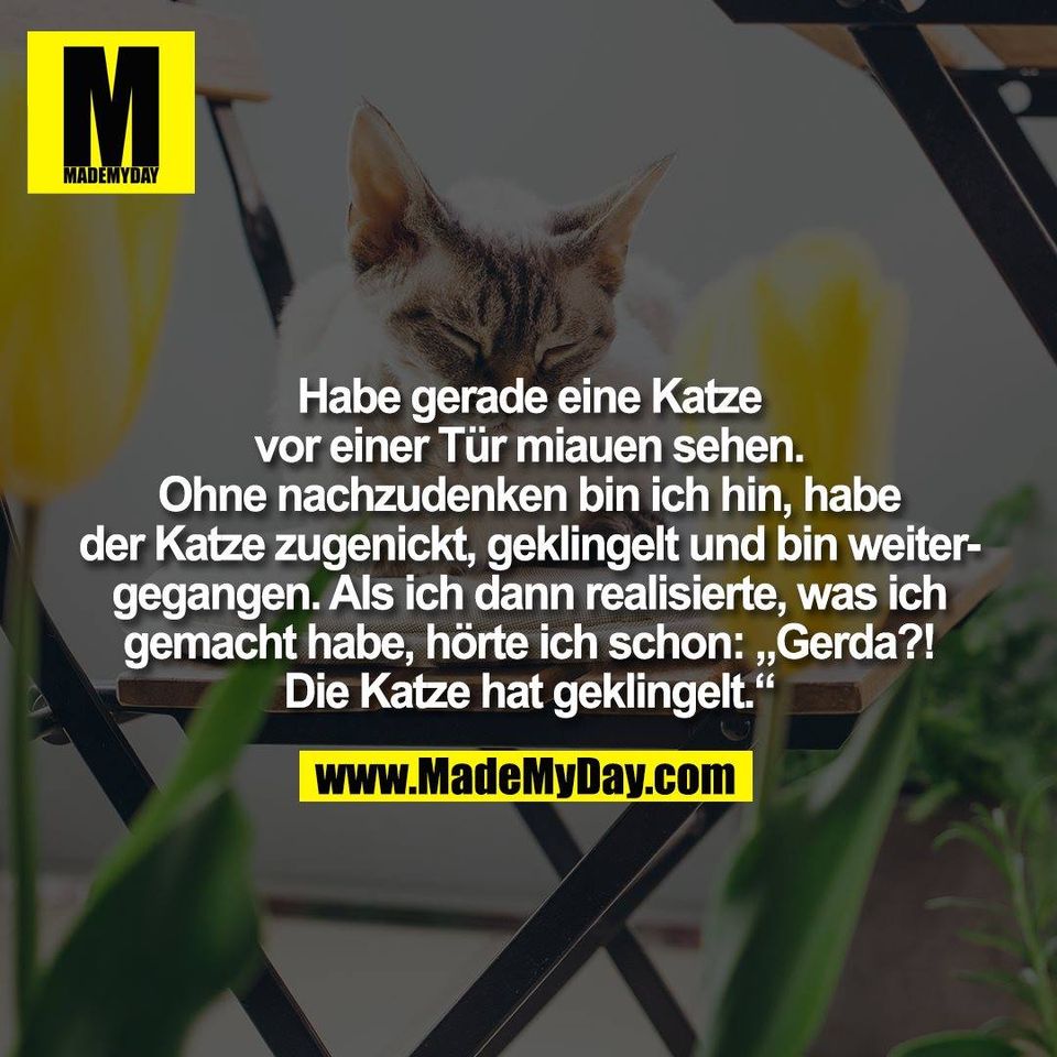 Habe gerade eine Katze<br />
vor einer Tür miauen sehen.<br />
Ohne nachzudenken bin ich hin, habe<br />
der Katze zugenickt, geklingelt und bin weiter-<br />
gegangen. Als ich dann realisierte, was ich<br />
gemacht habe, hörte ich schon: „Gerda?!<br />
Die Katze hat geklingelt.“