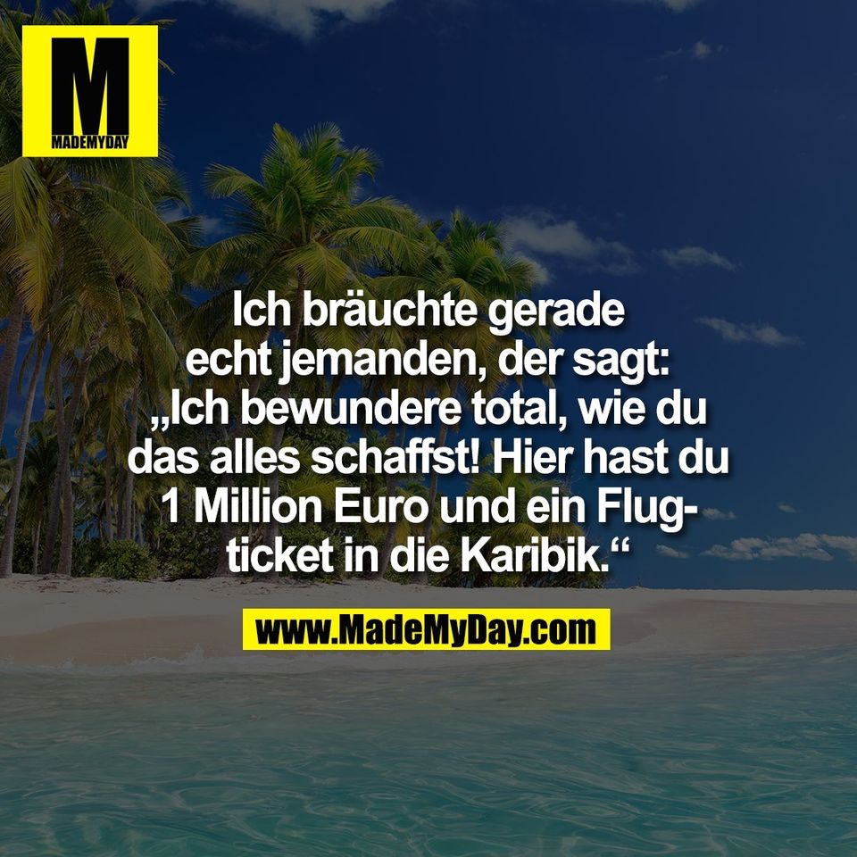 Ich bräuchte gerade<br />
echt jemanden, der sagt:<br />
„Ich bewundere total, wie du<br />
das alles schaffst! Hier hast du<br />
1 Million Euro und ein Flug-<br />
ticket in die Karibik.“