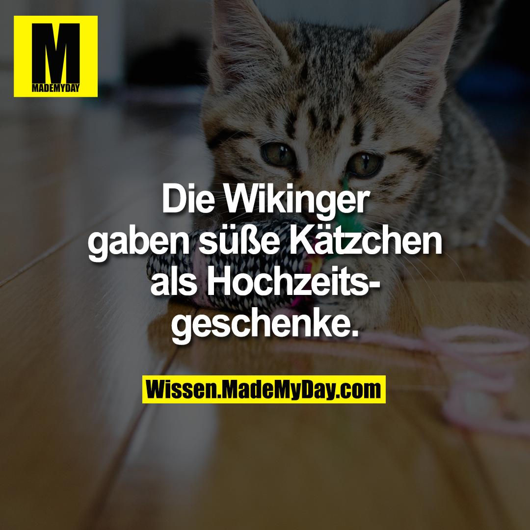 Die Wikinger gaben süße Kätzchen als Hochzeitsgeschenke.