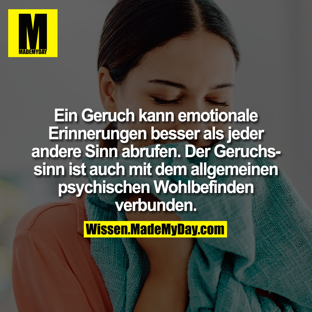 Ein Geruch kann emotionale Erinnerungen besser als jeder andere Sinn abrufen. Der Geruchssinn ist auch mit dem allgemeinen psychischen Wohlbefinden verbunden.