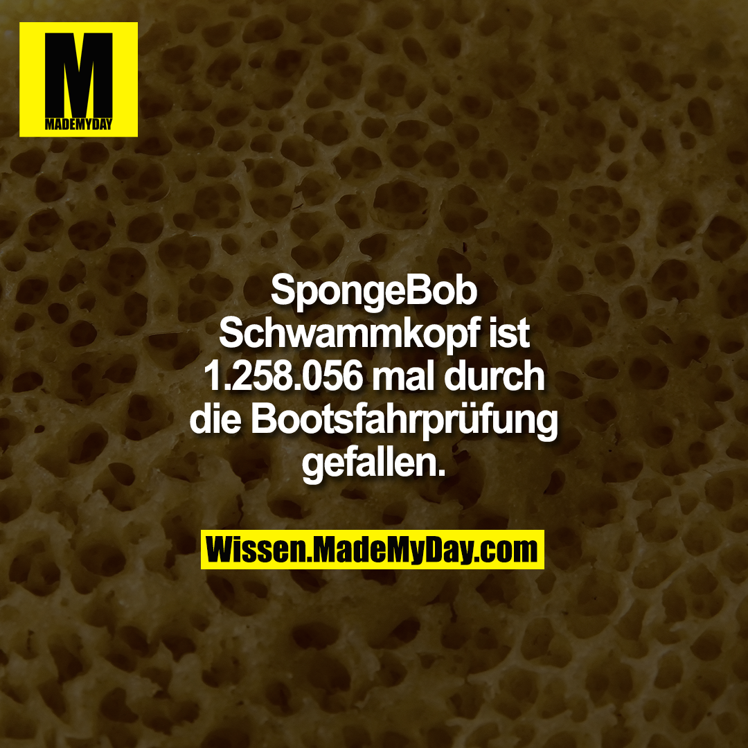 SpongeBob Schwammkopf ist 1.258.056 mal durch die Bootsfahrprüfung gefallen.