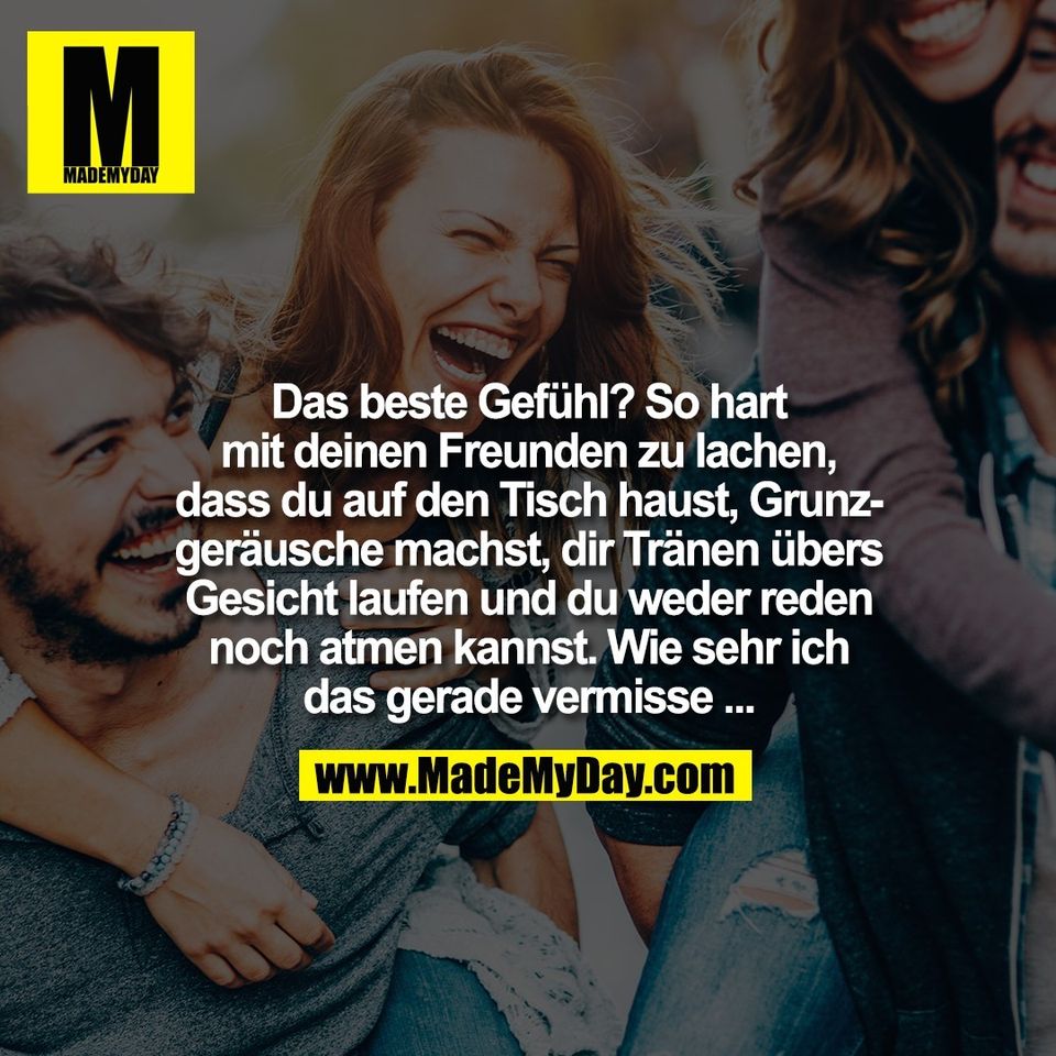 Das beste Gefühl? So hart<br />
mit deinen Freunden zu lachen,<br />
dass du auf den Tisch haust, Grunz-<br />
geräusche machst, dir Tränen übers<br />
Gesicht laufen und du weder reden<br />
noch atmen kannst. Wie sehr ich<br />
das gerade vermisse ...