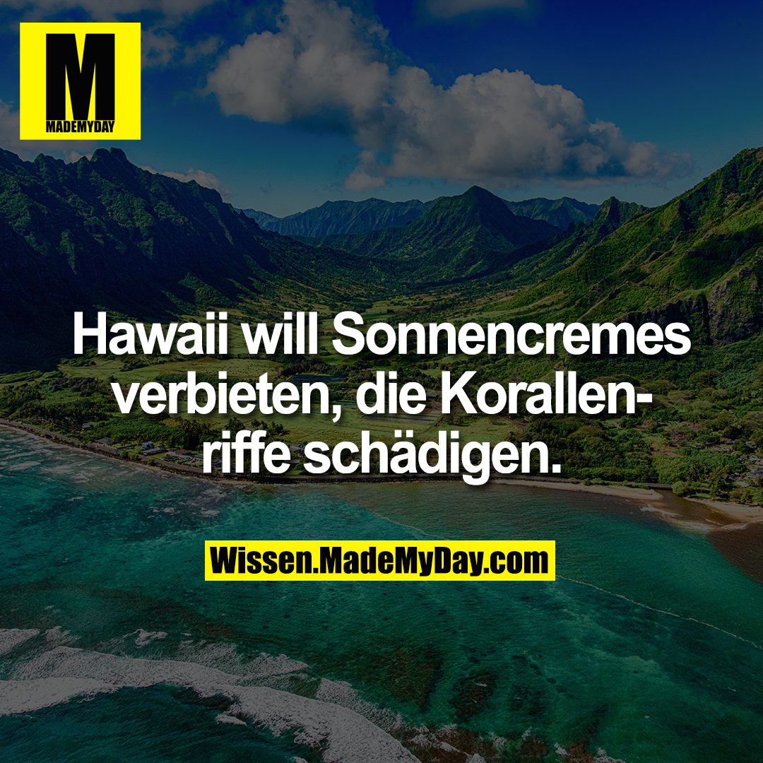 Hawaii will Sonnencremes verbieten, die Korallenriffe schädigen.