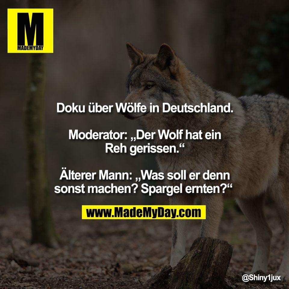 Doku über Wölfe in Deutschland. Made My Day