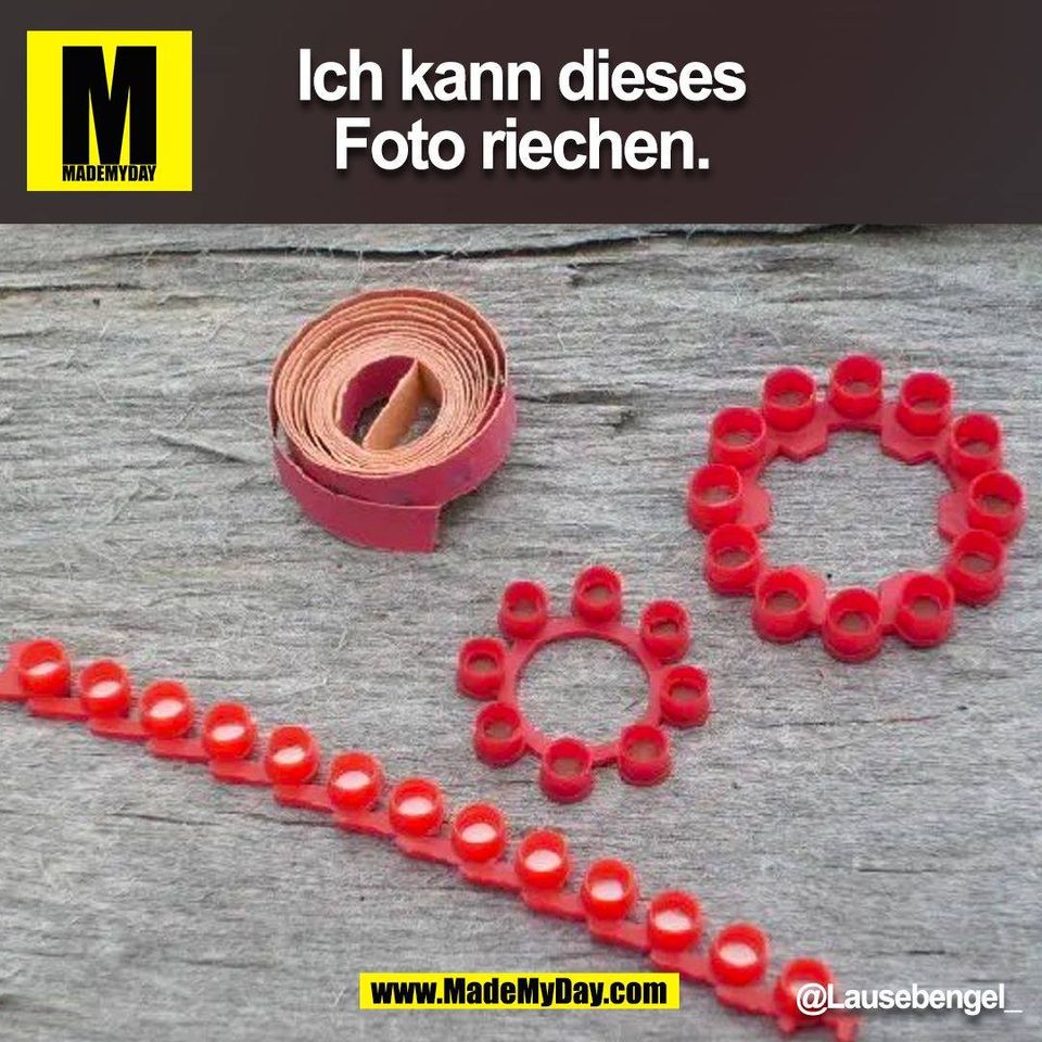 Ich kann dieses Foto riechen. @Lausebengel_<br />
(BILD)