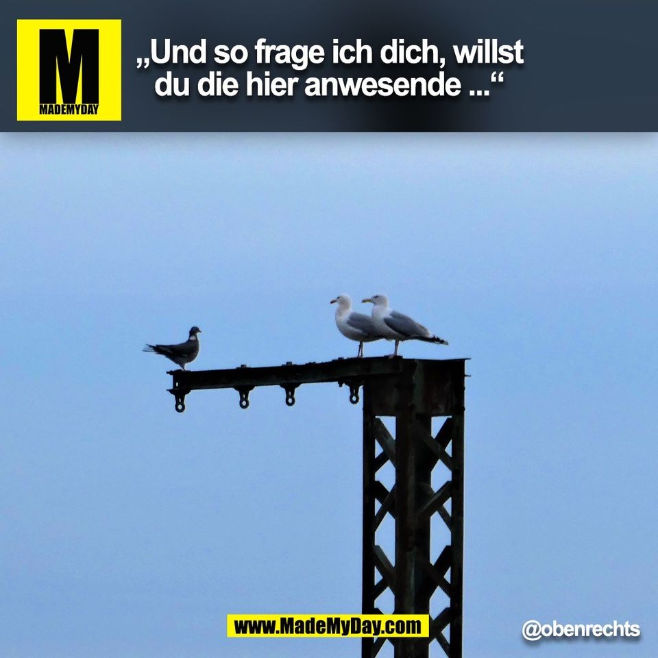 "Und so frage ich Dich, willst Du die hier anwesende..."<br />
@obenrechts (BILD)