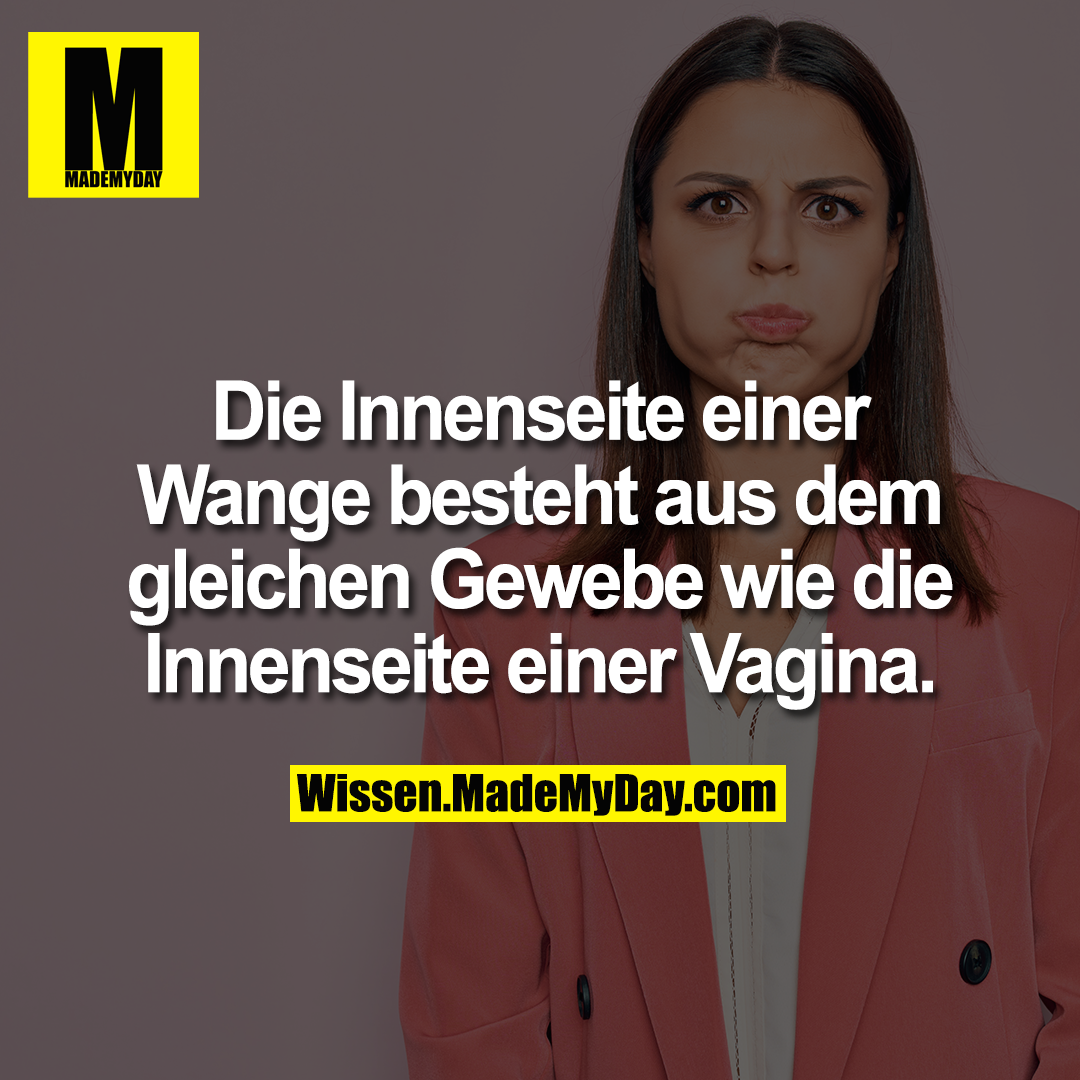 Die Innenseite einer Wange besteht aus dem gleichen Gewebe wie die Innenseite einer Vagina.