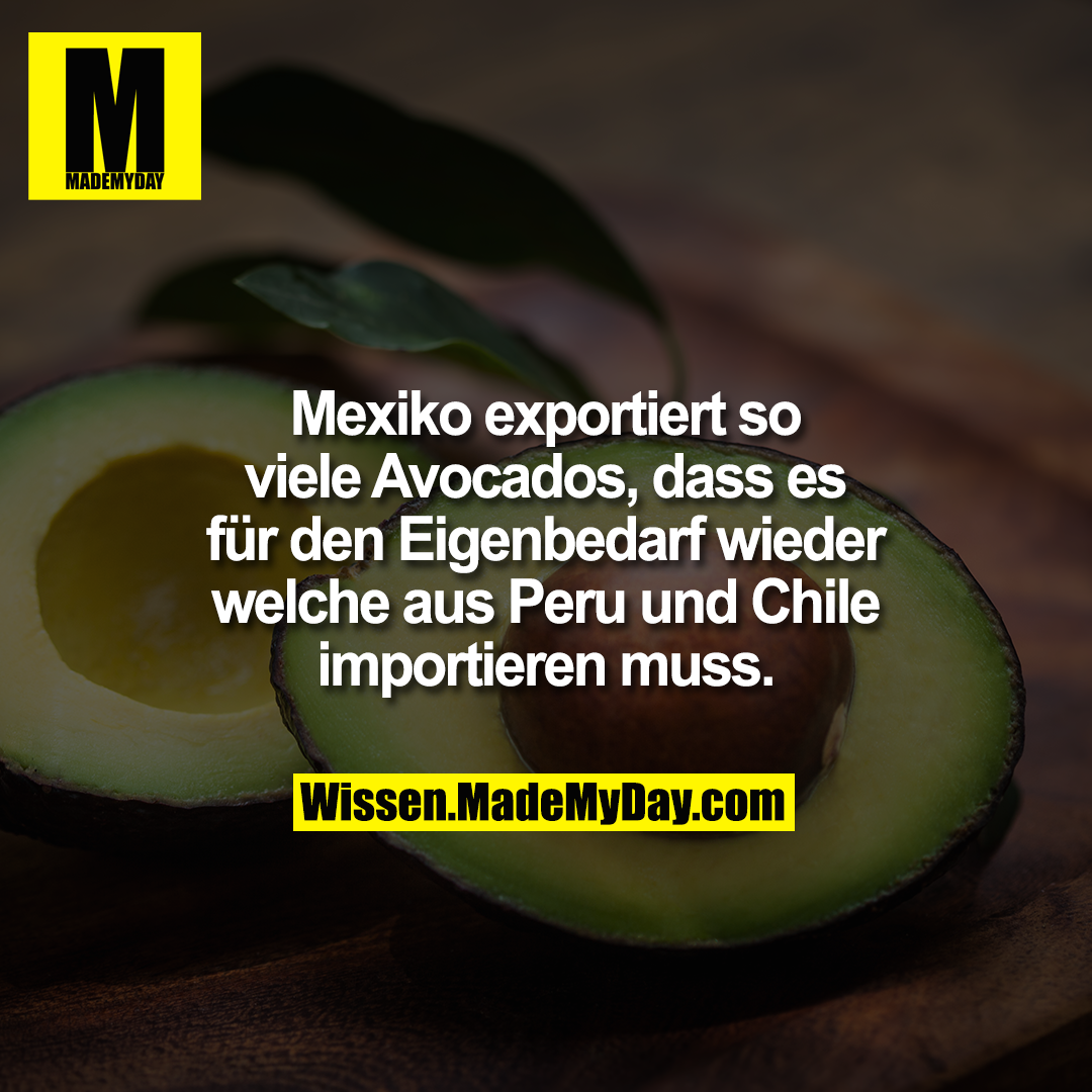 Mexiko exportiert so viele Avocados, dass es für den Eigenbedarf wieder welche aus Peru und Chile importieren muss.