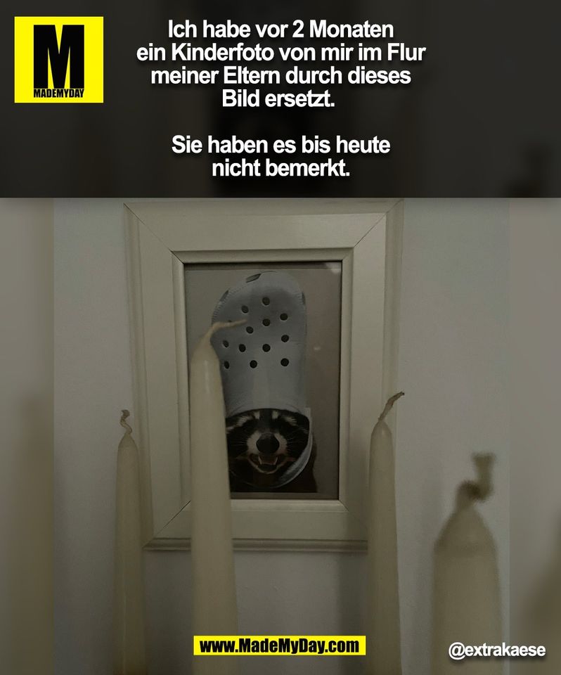 Ich habe vor 2 Monaten<br />
ein Kinderfoto von mir im Flur<br />
meiner Eltern durch dieses<br />
Bild ersetzt. <br />
<br />
Sie haben es bis heute<br />
nicht bemerkt.  @extrakaese (BILD)