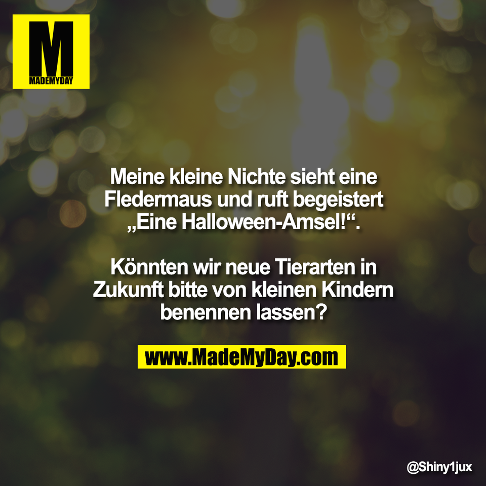Meine kleine Nichte sieht eine<br />
Fledermaus und ruft begeistert<br />
„Eine Halloween-Amsel!“.<br />
<br />
Könnten wir neue Tierarten in<br />
Zukunft bitte von kleinen Kindern<br />
benennen lassen?