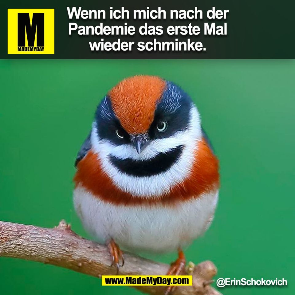Wenn ich mich nach der<br />
Pandemie das erste Mal<br />
wieder schminke.<br />
@ErinSchokovich<br />
(BILD)