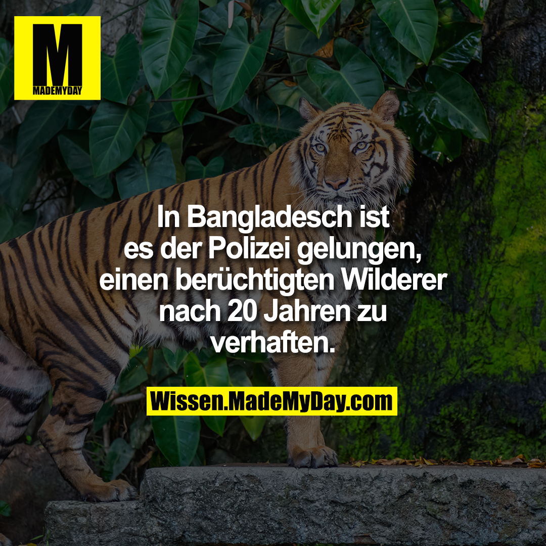 In Bangladesch ist es der Polizei gelungen, einen berüchtigten Wilderer nach 20 Jahren zu verhaften.