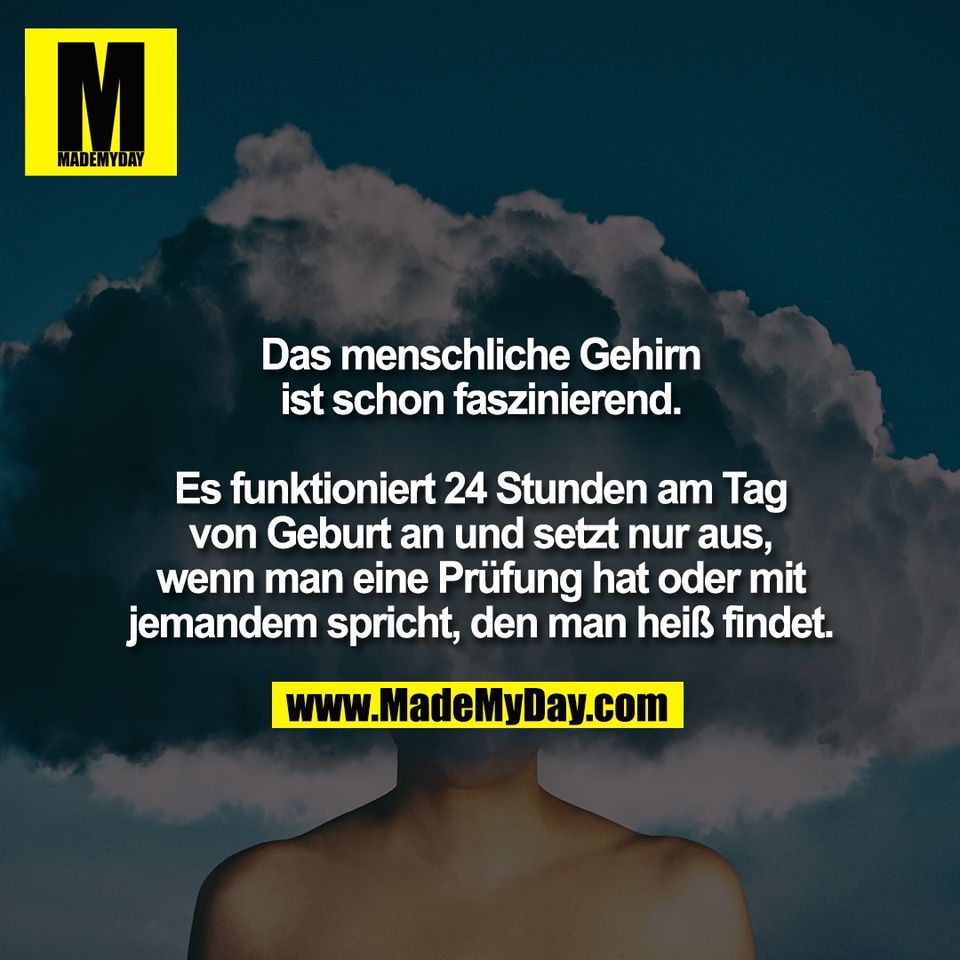 Das menschliche Gehirn<br />
ist schon faszinierend.<br />
<br />
Es funktioniert 24 Stunden am Tag<br />
von Geburt an und setzt nur aus,<br />
wenn man eine Prüfung hat oder mit<br />
jemandem spricht, den man heiß findet.