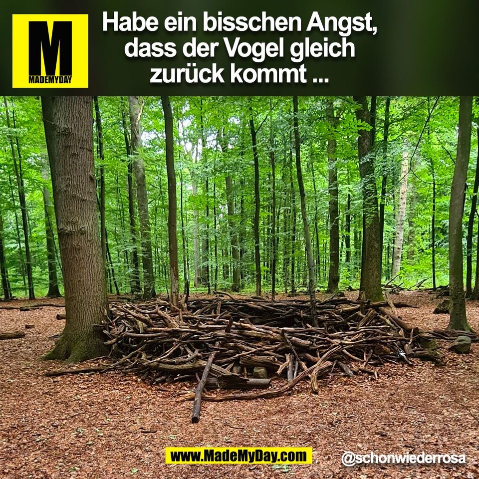 Habe ein bisschen Angst,<br />
dass der Vogel gleich<br />
zurück kommt ...<br />
@schonwiederrosa<br />
(BILD)