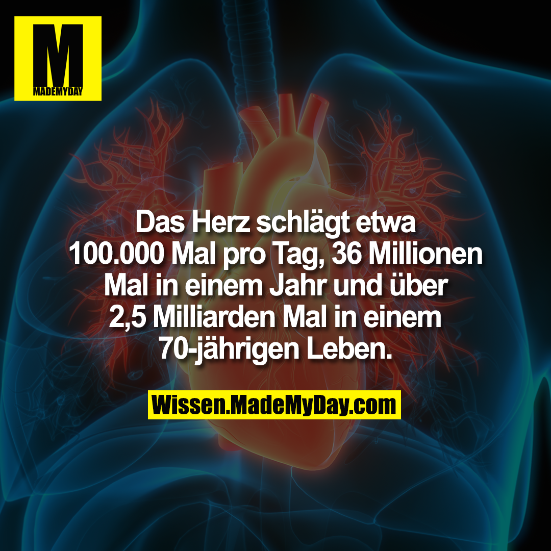 Das Herz schlägt etwa 100.000 Mal pro Tag, 36 Millionen Mal in einem Jahr und über 2,5 Milliarden Mal in einem 70-jährigen Leben.