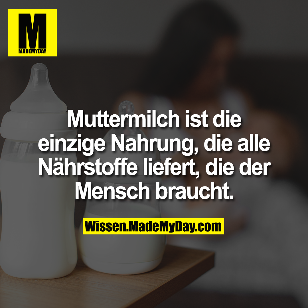 Muttermilch ist die einzige Nahrung, die alle Nährstoffe liefert, die der Mensch braucht.