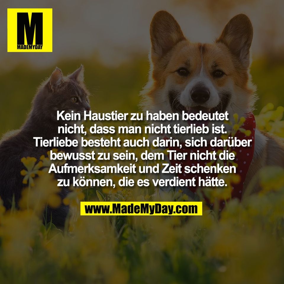 Kein Haustier zu haben bedeutet<br />
nicht, dass man nicht tierlieb ist.<br />
Tierliebe besteht auch darin, sich darüber<br />
bewusst zu sein, dem Tier nicht die<br />
Aufmerksamkeit und Zeit schenken<br />
zu können, die es verdient hätte.