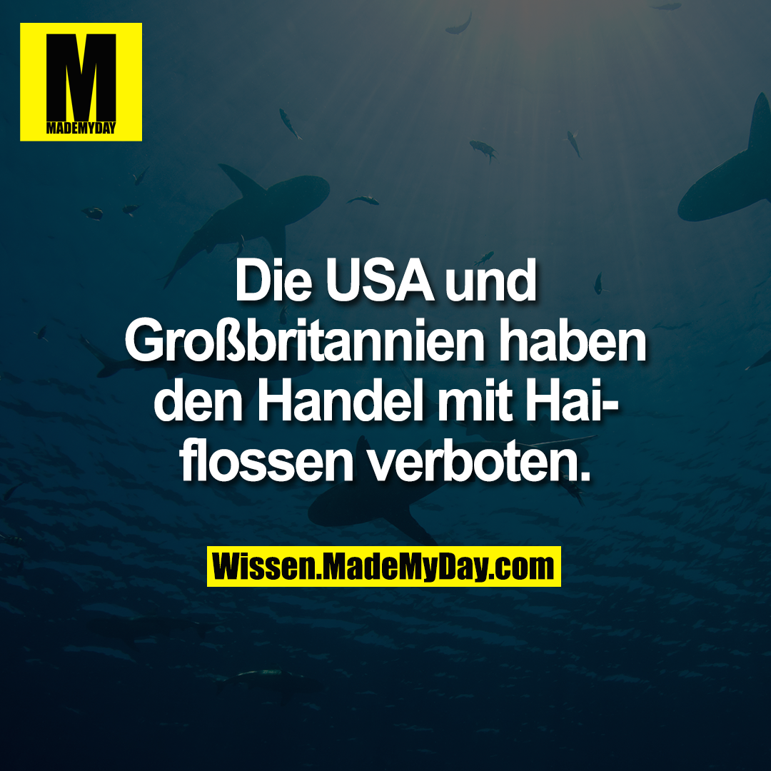 Die USA und Großbritannien haben den Handel mit Haiflossen verboten.