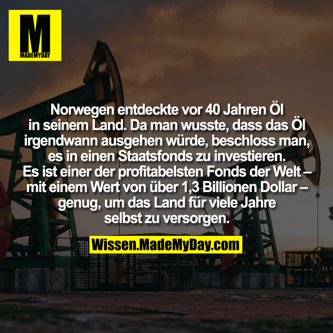 Norwegen entdeckte vor 40 Jahren Öl in seinem Land. Da man wusste, dass das Öl irgendwann ausgehen würde, beschloss man, es in einen Staatsfonds zu investieren. Es ist einer der profitabelsten Fonds der Welt – mit einem Wert von über 1,3 Billionen Dollar – genug, um das Land für viele Jahre selbst zu versorgen.
