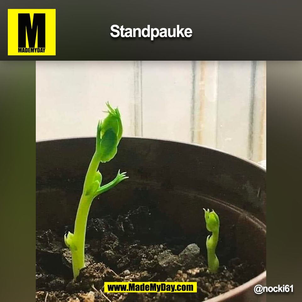 Standpauke<br />
@nocki61<br />
(BILD)