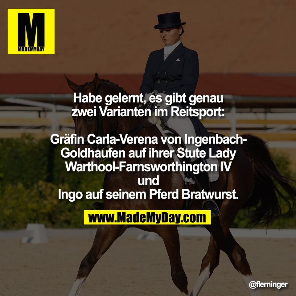 Habe gelernt, es gibt genau<br />
zwei Varianten im Reitsport:<br />
<br />
Gräfin Carla-Verena von Ingenbach-<br />
Goldhaufen auf ihrer Stute Lady<br />
Warthool-Farnsworthington IV<br />
und<br />
Ingo auf seinem Pferd Bratwurst.