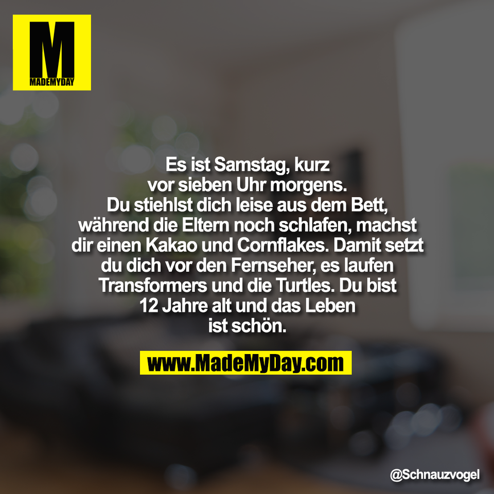 Es ist Samstag, kurz<br />
vor sieben Uhr morgens.<br />
Du stiehlst dich leise aus dem Bett,<br />
während die Eltern noch schlafen, machst<br />
dir einen Kakao und Cornflakes. Damit setzt<br />
du dich vor den Fernseher, es laufen<br />
Transformers und die Turtles. Du bist<br />
12 Jahre alt und das Leben<br />
ist schön.