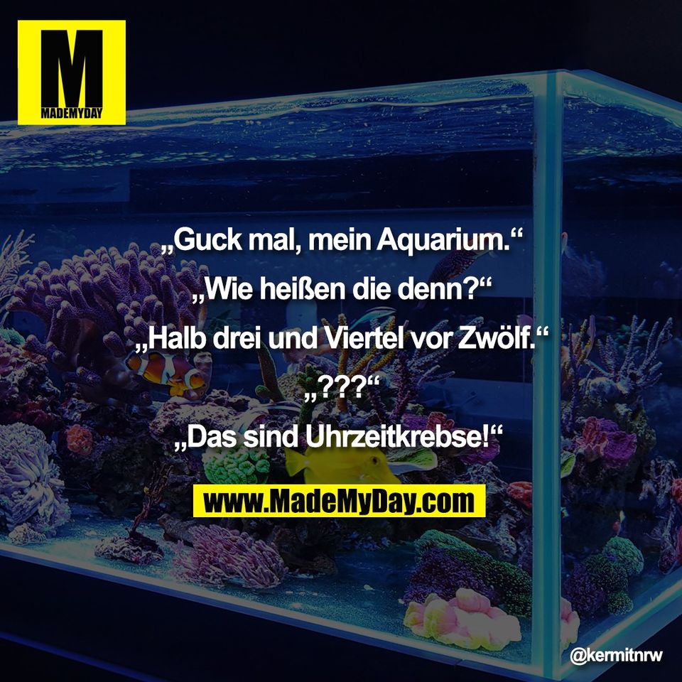 „Guck mal, mein Aquarium.“<br />
<br />
„Wie heißen die denn?“<br />
<br />
„Halb drei und Viertel vor Zwölf.“<br />
<br />
„???“<br />
<br />
„Das sind Uhrzeitkrebse!“