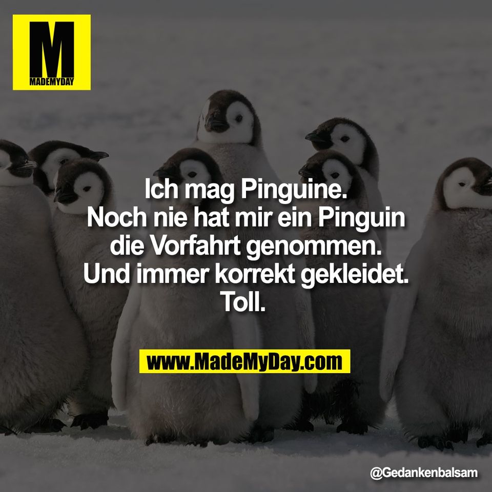 Ich mag Pinguine.<br />
Noch nie hat mir ein Pinguin<br />
die Vorfahrt genommen.<br />
Und immer korrekt gekleidet.<br />
Toll.
