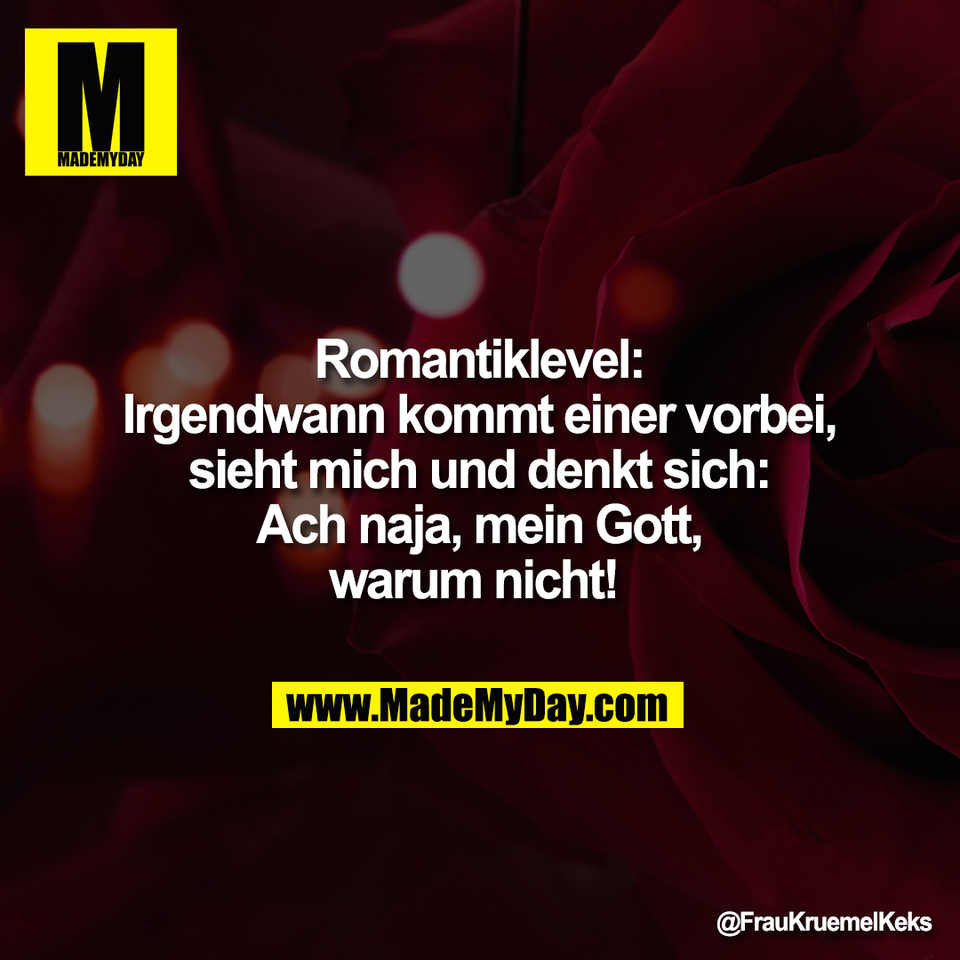 Romantiklevel:<br />
Irgendwann kommt einer vorbei,<br />
sieht mich und denkt sich:<br />
Ach naja, mein Gott,<br />
warum nicht!