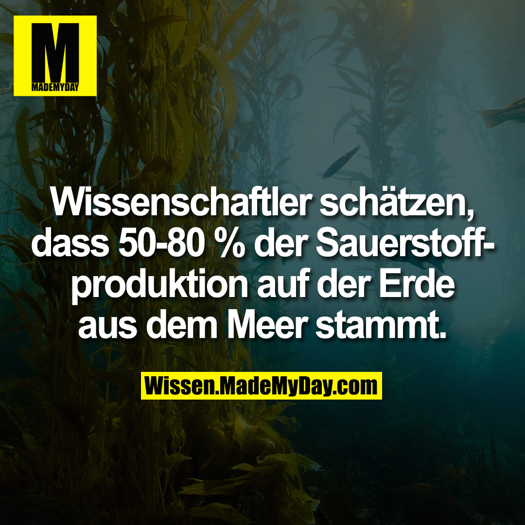 Wissenschaftler schätzen, dass 50-80 % der Sauerstoffproduktion auf der Erde aus dem Meer stammt.