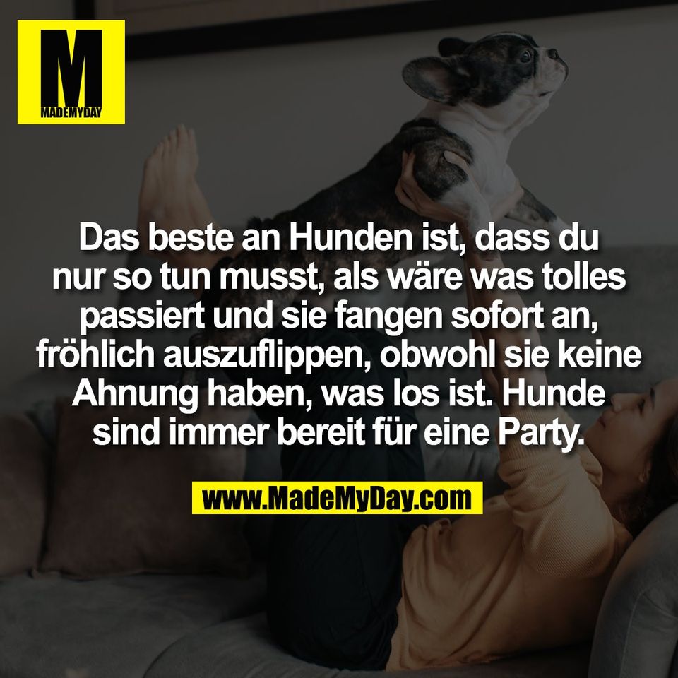 Das beste an Hunden ist, dass du<br />
nur so tun musst, als wäre was tolles<br />
passiert und sie fangen sofort an,<br />
fröhlich auszuflippen, obwohl sie keine<br />
Ahnung haben, was los ist. Hunde<br />
sind immer bereit für eine Party.