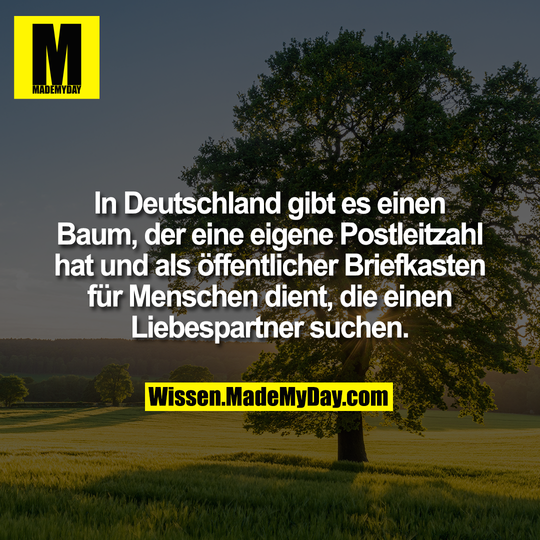 In Deutschland gibt es einen Baum, der eine eigene Postleitzahl hat und als öffentlicher Briefkasten für Menschen dient, die einen Liebespartner suchen.