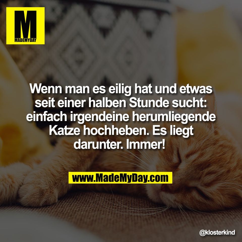 Wenn man es eilig hat und etwas<br />
seit einer halben Stunde sucht:<br />
einfach irgendeine herumliegende<br />
Katze hochheben. Es liegt<br />
darunter. Immer!