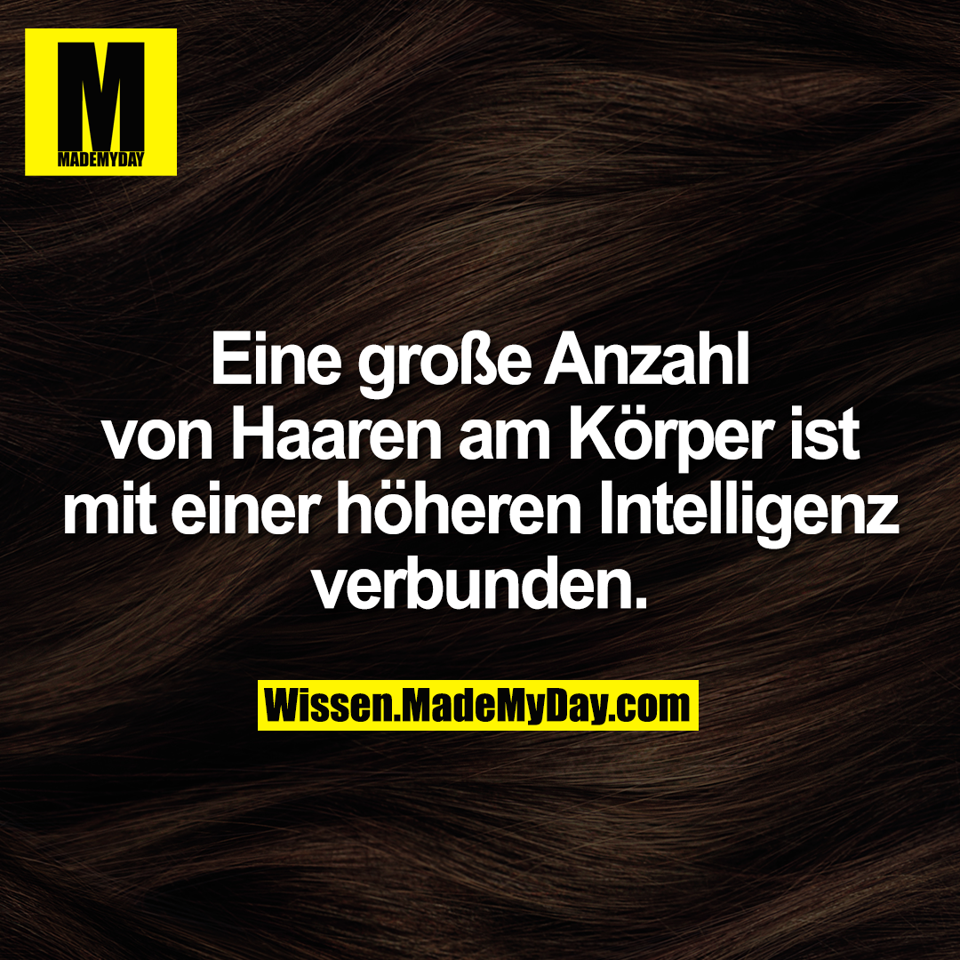 Eine große Anzahl von Haaren am Körper ist mit einer höheren Intelligenz verbunden.