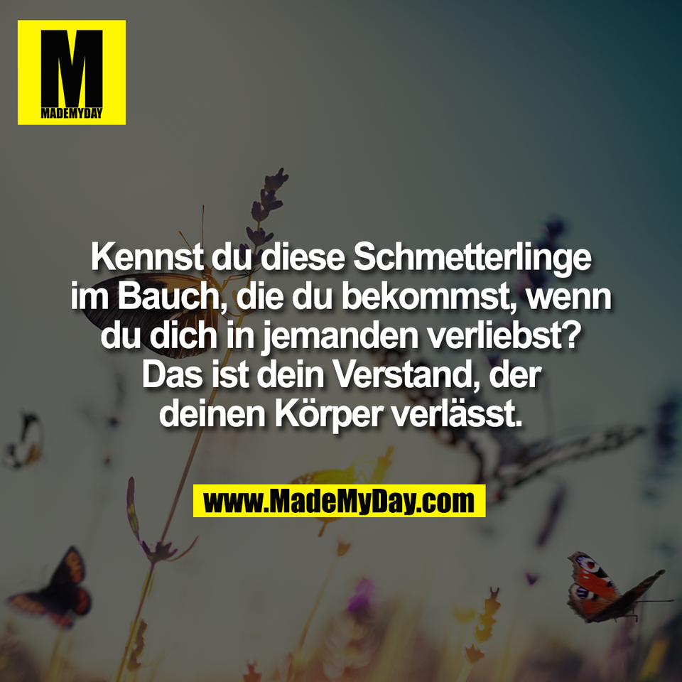 Kennst du diese Schmetterlinge<br />
im Bauch, die du bekommst, wenn<br />
du dich in jemanden verliebst?<br />
Das ist dein Verstand, der<br />
deinen Körper verlässt.