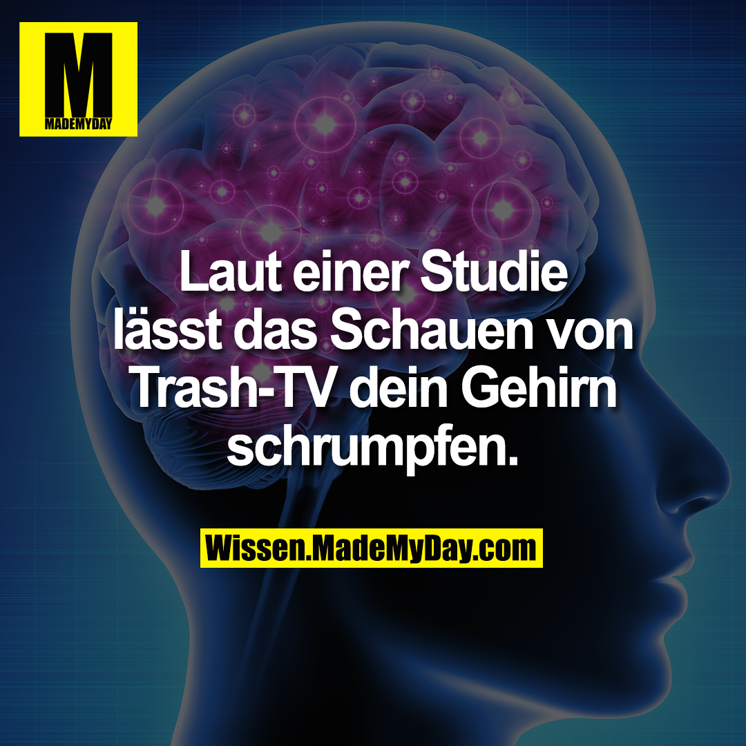 Laut einer Studie lässt das Schauen von Trash-TV dein Gehirn schrumpfen.