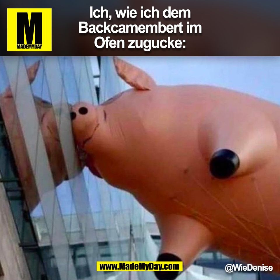 Ich, wie ich dem<br />
Backcamembert im<br />
Ofen zugucke:<br />
@WieDenise<br />
(BILD)