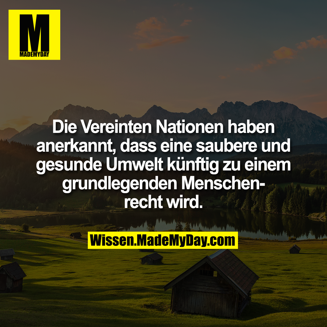 Die Vereinten Nationen haben anerkannt, dass eine saubere und gesunde Umwelt künftig zu einem grundlegenden Menschenrecht wird.