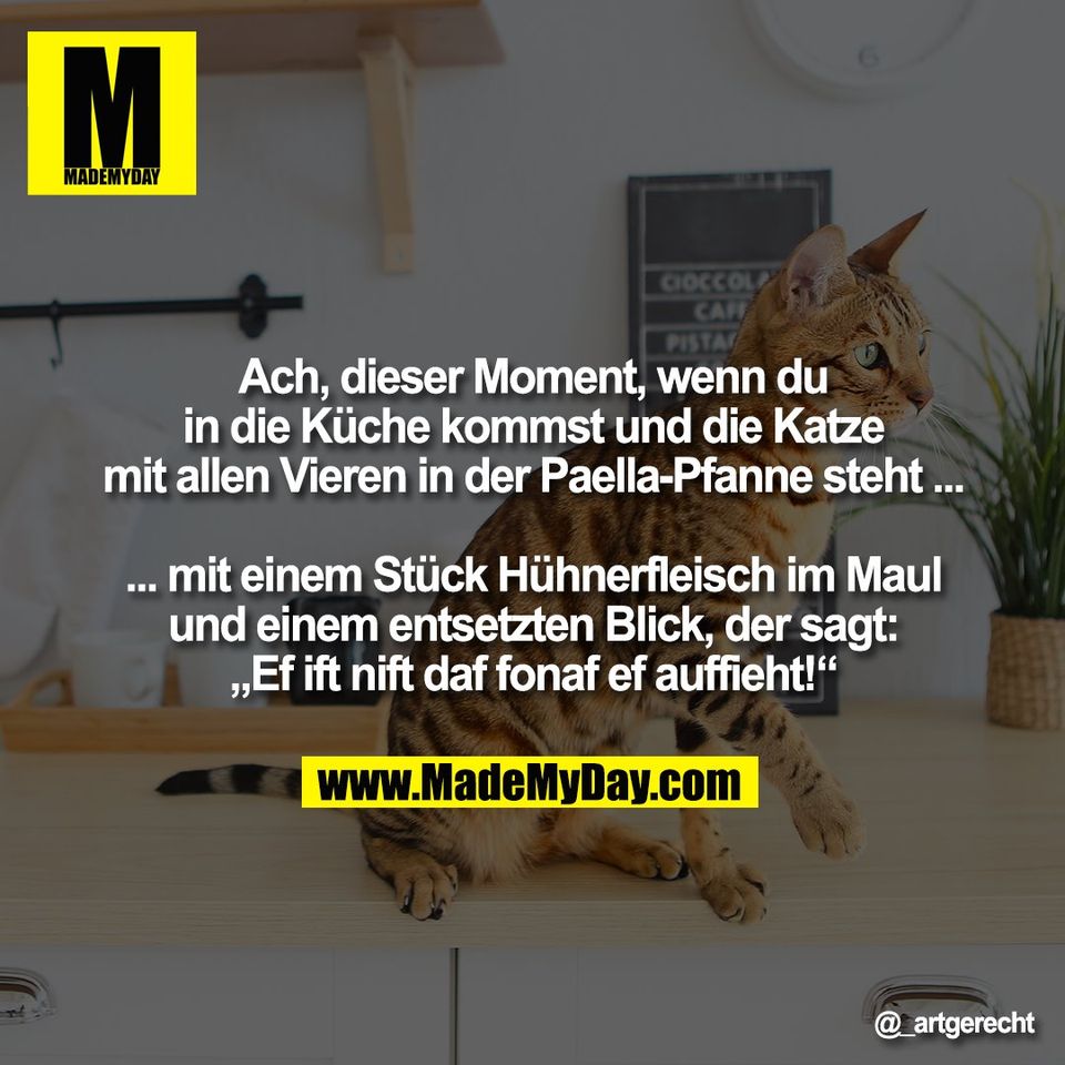 Ach, dieser Moment, wenn du<br />
in die Küche kommst und die Katze<br />
mit allen Vieren in der Paella-Pfanne steht ...<br />
<br />
... mit einem Stück Hühnerfleisch im Maul<br />
und einem entsetzten Blick, der sagt:<br />
„Ef ift nift daf fonaf ef auffieht!“